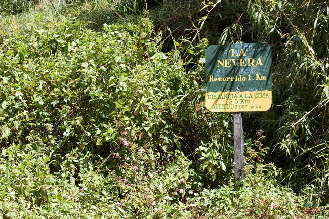 La Nevera - Volcan Baru Park, Panama