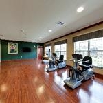 PruittHealth - Blythewood: Rehabilitation Suite